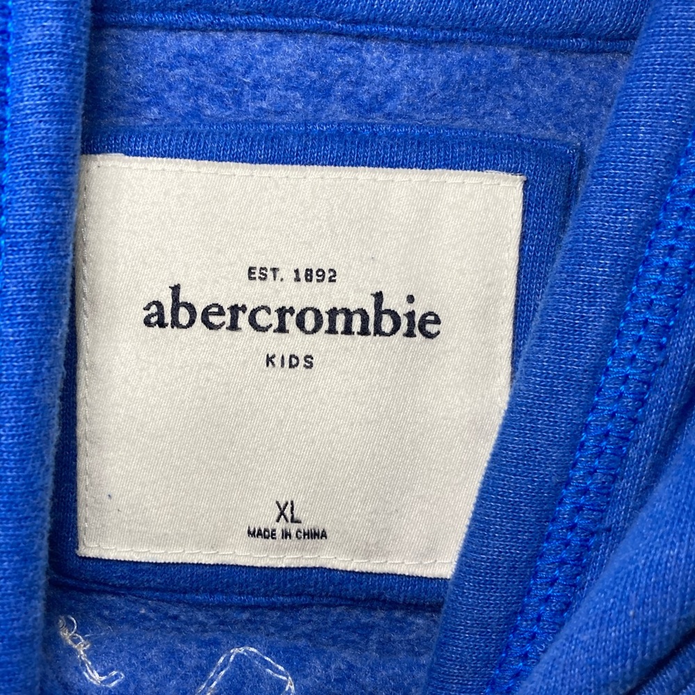 Abercrombie & Fitch Kids Royal Blue Hoodie - Picture 2 of 10